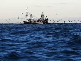 RSPB Scotland wants to tackle the accidental capture of seabirds by fishing vessels