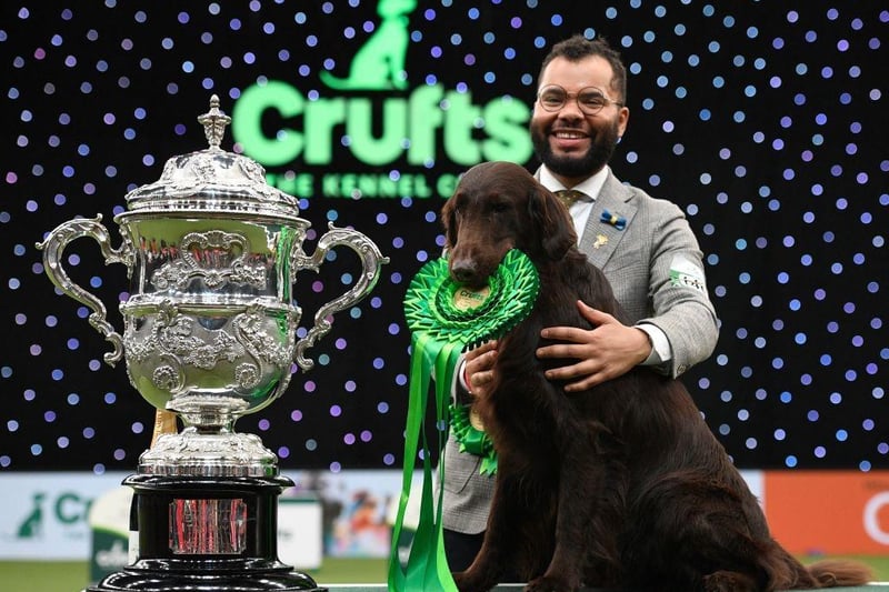 There was no Crufts in 2021 due to the global pandemic. When it returned in 2022 a Flat Coated Retreiver called Baxer, owned by Patrick Oware, won the title.