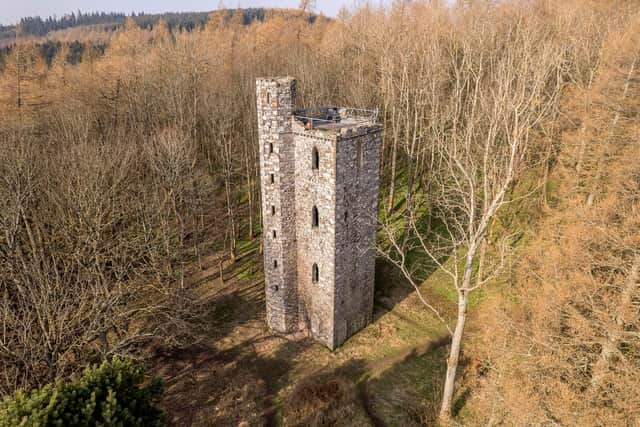 The current owner said she was "sad" to sell the tower but hoped someone would "continue the dream" of renovating the landmark. PIC: Thorntons.
