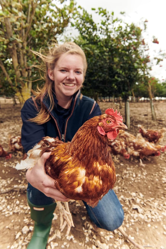 Morrisons is teaming up with the ‘British Egg Academy’ to create a hen training programme. The tailored “training” plan aims to produce the fittest chickens and the best eggs.