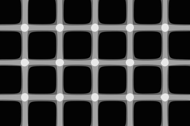 Look at one of these circles too long and you'll find those surrounding it flashing grey or black, while they are all in fact white.