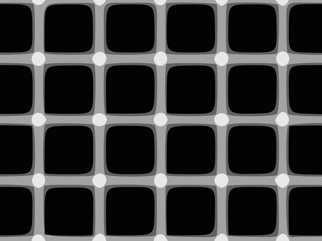 Look at one of these circles too long and you'll find those surrounding it flashing grey or black, while they are all in fact white.