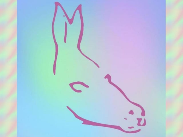 This illusion went viral in 2022, with the traditional seal or donkey illusion taking on a new life of its own as many said they could see a mermaid or fish in the illustration. What can you see?