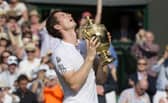 Andy Murray has won Wimbledon twice and will likely want another date with the grass courts of SW19.