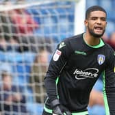 QPR keeper Dillon Barnes has joined Hibs on loan. He previously had a spell at Colchester United.