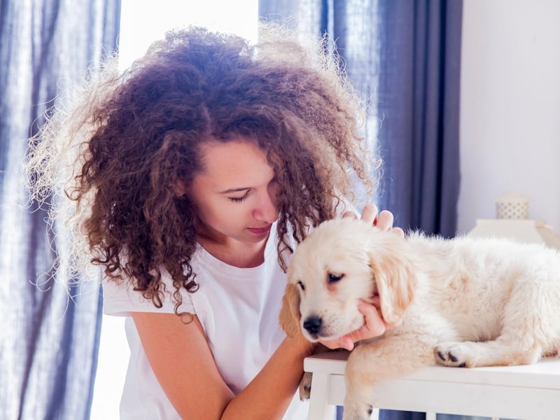 Considered one of the best family dogs, much like its close cousin the Labrador the Golden Retriever makes a great pet for youngsters finding life a little tough - offering unconditional love and a sympathetic ear.
