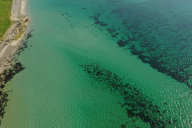 The seagrass bed, stretching across around 30 hectares, was mapped as part of Operation Ocean Witness -- a joint research project between Scottish charity Open Seas and environmental campaign group Greenpeace UK. Picture: Open Seas