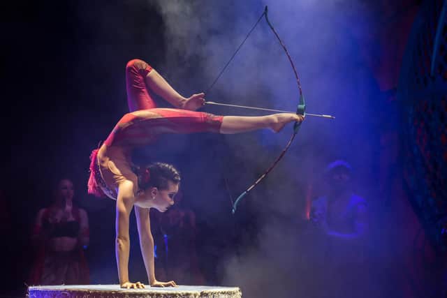Cirque Berserk! PIC: Piet Hein Out