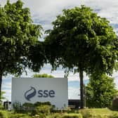 SSE says SGN has become 'purely a financial investment'. Picture: Stuart Hatch.