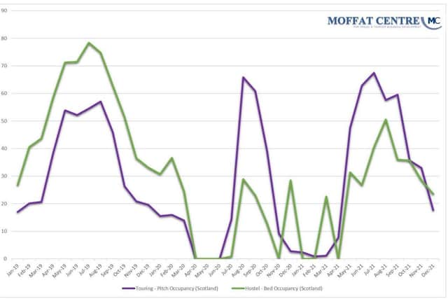 Scottish occupancy rates for hostels (green) and camping pitches (purple) were affected differently by Covid. Picture: Moffat Centre