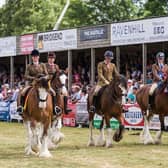 ​It is hoped that the sun will shine on this year’s Turriff Show, which will be held on July 30 and 31.