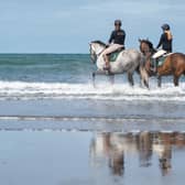 Spiteri the thoroughbred being retrained by the RoR