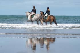 Spiteri the thoroughbred being retrained by the RoR