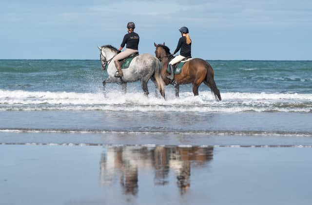 Spiteri the thoroughbred being retrained by the RoR