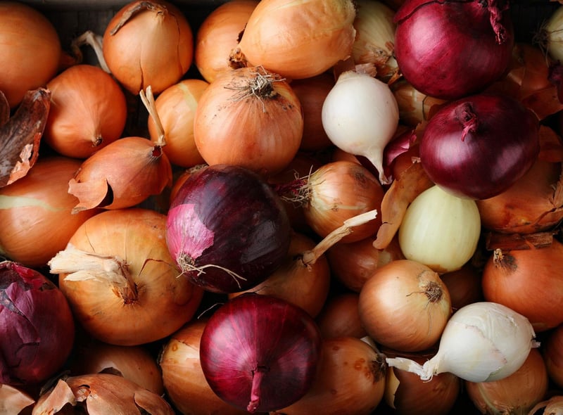 All members of the Allium family, including onions and chives, are poisonous to dogs. Symptoms include nausea and vomiting, abdominal pain, diarrhoea. and in severe cases, anaemia and organ damage. 70 per cent of people were unaware of their toxicity.