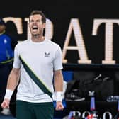 Andy Murray celebrates victory against Australia's Thanasi Kokkinakis after a five-set epic at the Australian Open. Picture: William West/AFP via Getty Images.