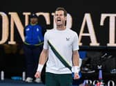 Andy Murray celebrates victory against Australia's Thanasi Kokkinakis after a five-set epic at the Australian Open. Picture: William West/AFP via Getty Images.