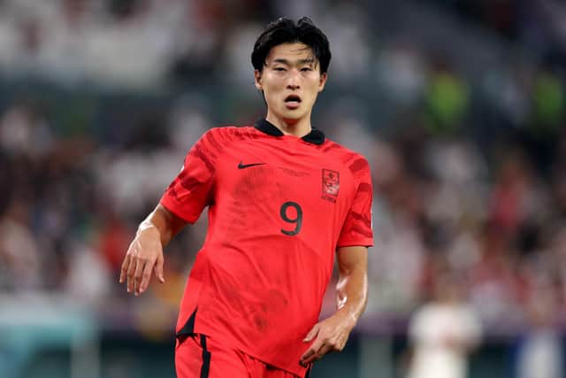 Celtic target Cho Gue-Sung in action for South Korea at the World Cup in Qatar. (Photo by Dean Mouhtaropoulos/Getty Images)