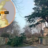 A fallen tree branch blocking Dick Place in the Grange, Edinburgh, on Saturday morning. (Picture credit: Eric Robinson)