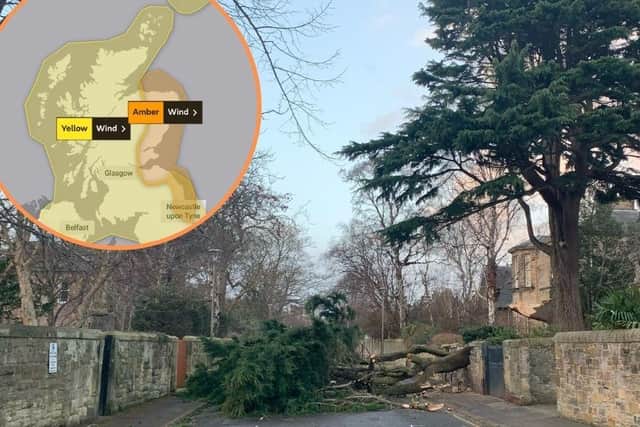 A fallen tree branch blocking Dick Place in the Grange, Edinburgh, on Saturday morning. (Picture credit: Eric Robinson)