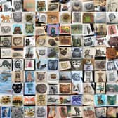 100 cats, Edinburgh Sketcher