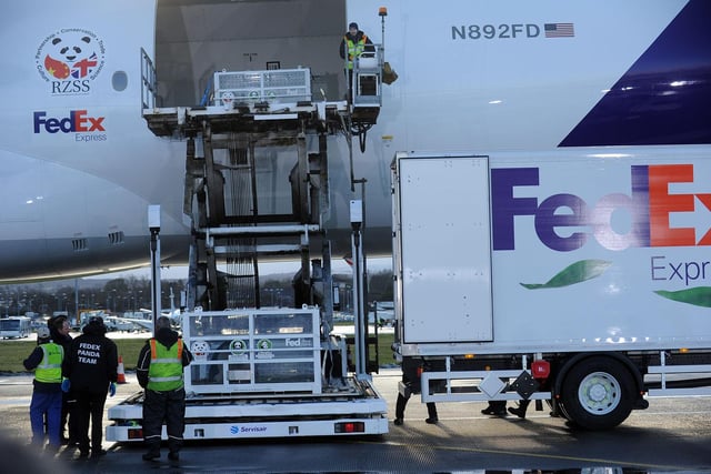 Pandas from China arrive at Edinburgh Airport, before a police escort takes them to Edinburgh Zoo.   Yang Guang, the male panda is second off the plane, before being loaded into the Fedex van. Yang Guang is loaded onto the Fedex Van.