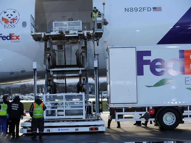 Pandas from China arrive at Edinburgh Airport, before a police escort takes them to Edinburgh Zoo.   Yang Guang, the male panda is second off the plane, before being loaded into the Fedex van. Yang Guang is loaded onto the Fedex Van.
