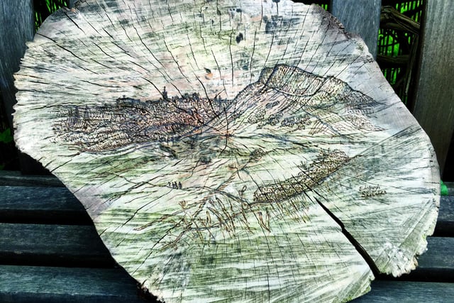 May time and spring is in the air, and I was out in the garden more. After being asked to wood burn a message and drawing on a slice of a tree for a wedding, I became slightly obsessed with the new medium and created this Edinburgh skyline using a pyrography set.