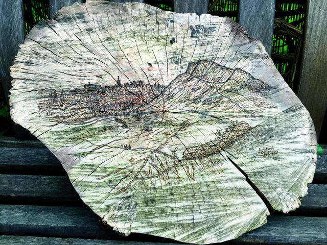 May time and spring is in the air, and I was out in the garden more. After being asked to wood burn a message and drawing on a slice of a tree for a wedding, I became slightly obsessed with the new medium and created this Edinburgh skyline using a pyrography set.