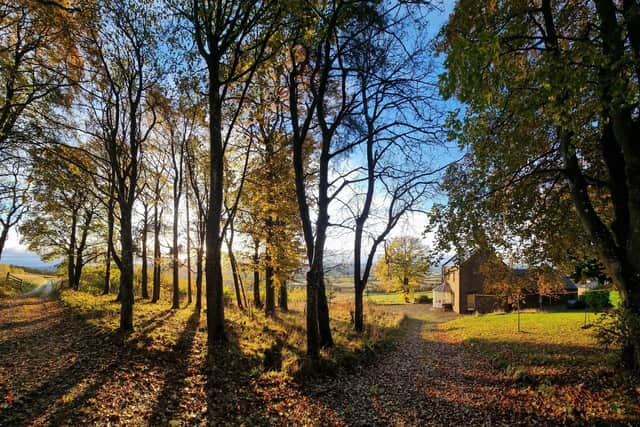 Highland Boundary is based on a farm in Alyth, Perthshire, where rewilding work has been going on since 2008 -- more than 600 native trees have already been planted and a wildlife pond created at the site