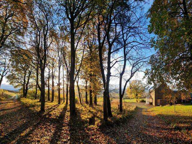Highland Boundary is based on a farm in Alyth, Perthshire, where rewilding work has been going on since 2008 -- more than 600 native trees have already been planted and a wildlife pond created at the site