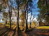 Highland Boundary is based on a farm in Alyth, Perthshire, where rewilding work has been going on since 2008 -- more than 600 native trees have already been planted and a wildlife pond created at the site