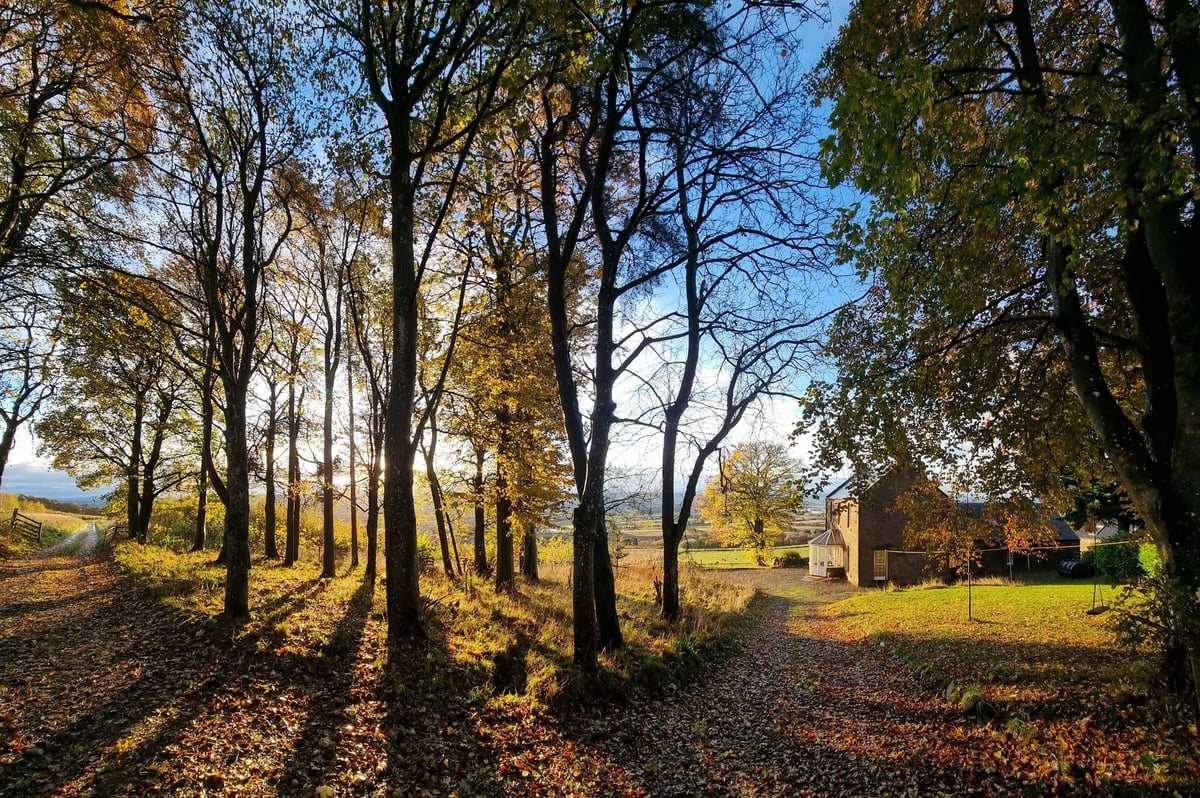 Sustainable Scotland: How a craft distillery in Perthshire is bottling a taste of the wild and boosting nature recovery