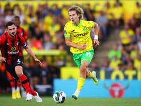 Todd Cantwell has no future at Norwich City, says his manager David Wagner.