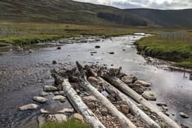 The project will involve 1125 trees being anchored into the riverbed or riverbank