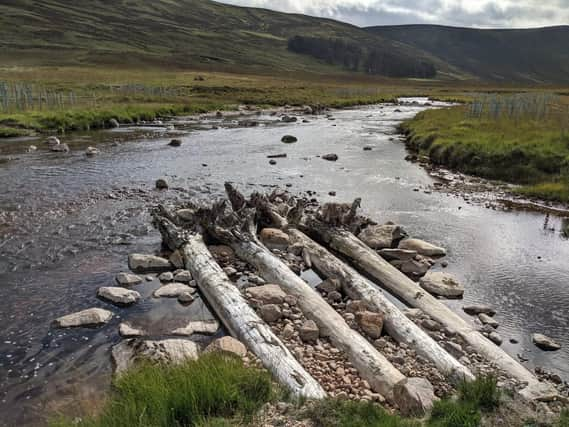 The project will involve 1125 trees being anchored into the riverbed or riverbank