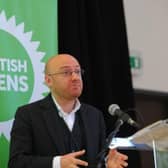 Lorna Slater and Patrick Harvie's party have criticised the Independent Green Voice party over their choice of branding.