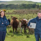 From left: Dr Tiffany Wood, co-founder and CEO of Dyneval with CTO Dr Vincent Martinez, who invented the firm’s core technology. Picture: Sandy Young/scottishphotographer.com.
