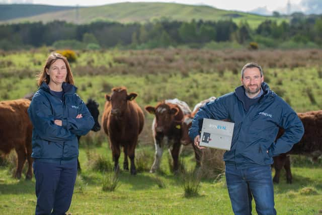 From left: Dr Tiffany Wood, co-founder and CEO of Dyneval with CTO Dr Vincent Martinez, who invented the firm’s core technology. Picture: Sandy Young/scottishphotographer.com.