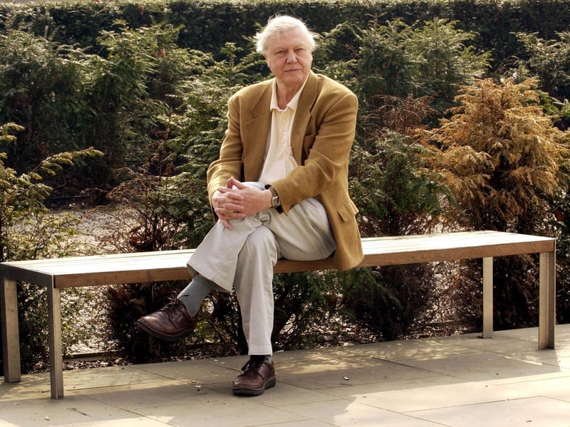 “About 70 or 80 men jumped onto the track, brandishing knives and spears. To say I was alarmed is putting it mildly. I walked towards this screaming horde of men, I stuck out my hand, and I heard myself say ‘good afternoon.'”