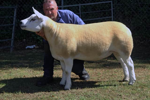 The interbreed sheep championship  went to the Texel champion shown by Roy and Gillian Adams and family from Banchory