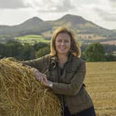 Scottish Conservative MSP Rachael Hamilton. Image: Phil Wilkinson.