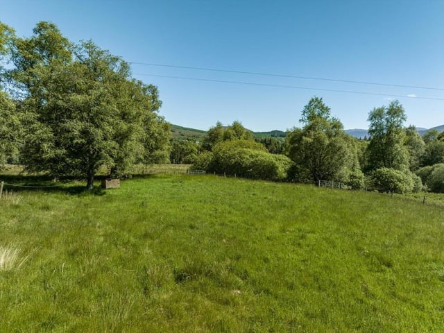 Field.