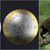 Croatia's design for a Euro coin and Iain Leach's photo.