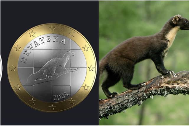 Croatia's design for a Euro coin and Iain Leach's photo.