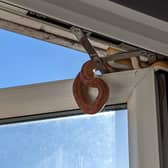 A corn snake on the window frame of a home in Hereford Walk, Basildon