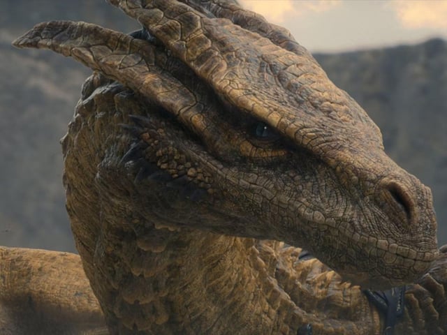 Princess Rhaenyra’s dragon Syrax is around 40ft (12m) long at the start of the show, though she will grow as time goes on. Thought to be around the same age as the princess, the she-dragon is kept in chains and rarely hunts for her food, which may restrict her size.
