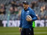 AB Zondagh is leaving his post as Scotland assistant coach.  (Photo by Craig Williamson / SNS Group)