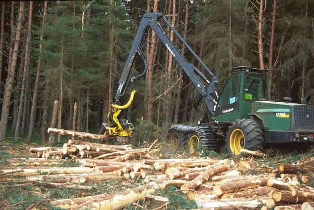 Clearfelling exotic conifers from a wetland area in Inshriach, Inverness