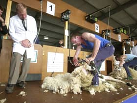 Agricultural galas, including the Royal Highland Show at Ingliston, are back in force this year -- some for the first time since the outbreak of Covid-19 -- so we should do our best to support them, according to Scottish rural minister Mairi Gougeon. Picture: David Moir